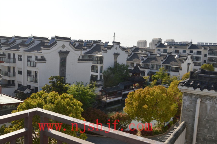 DSC_1220.JPG