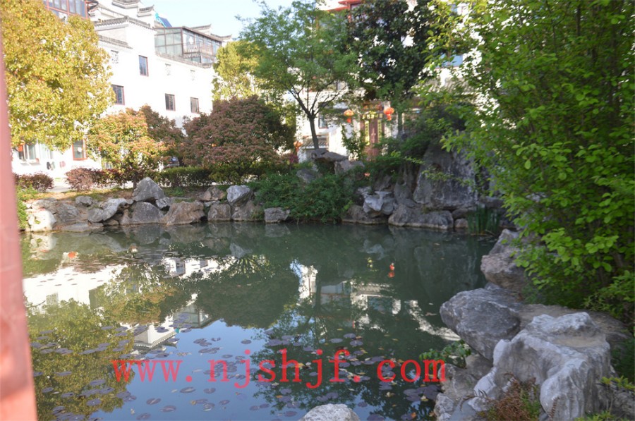 DSC_1229.JPG